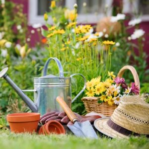 Gardening Class 201